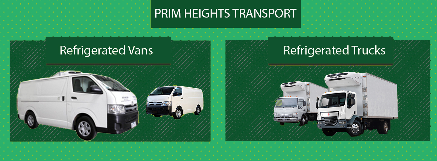Chiller Van For Rent in Dubai