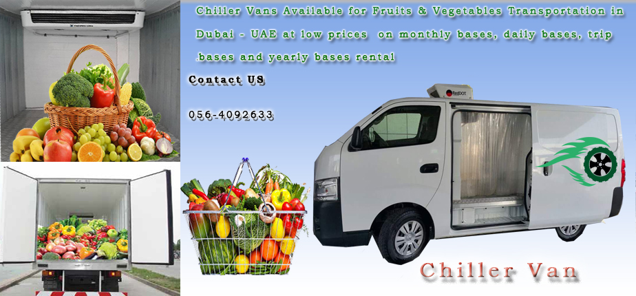 3 ton Freezer truck For Rental in dubai